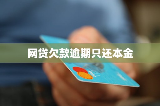澳门人威尼斯官网网贷欠款逾期只还本金(图1)